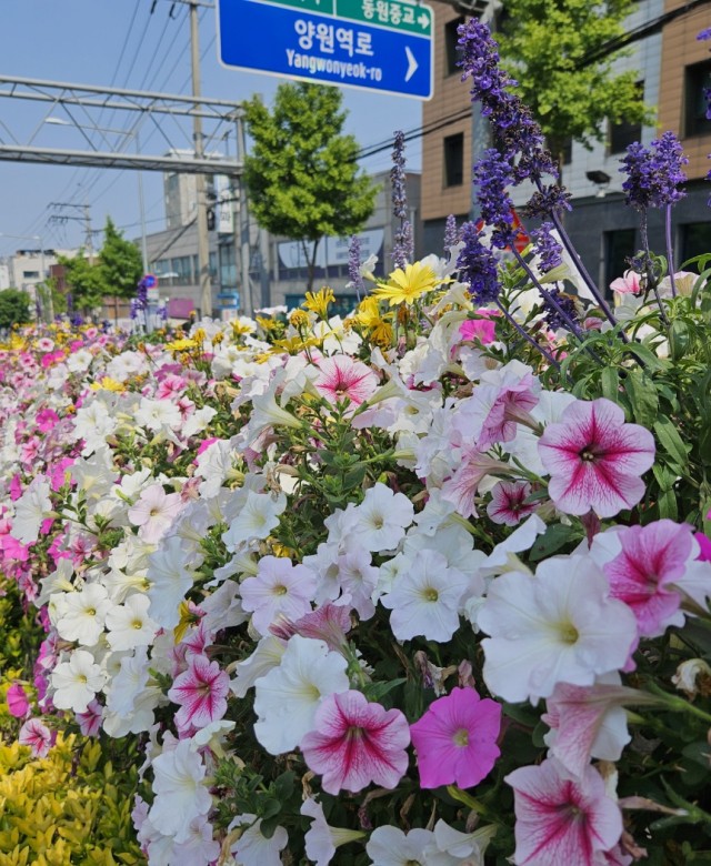 2024년 상반기 중랑구 난간걸이화분…