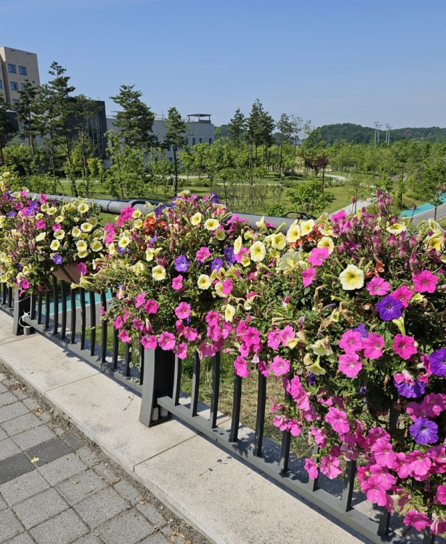 2024년 상반기 화성시 난간걸이화분…