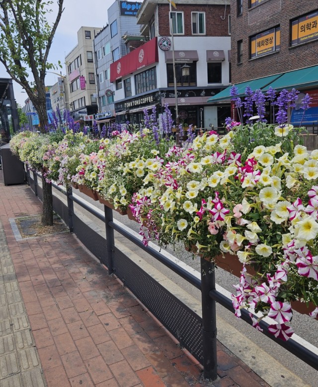 2024년 상반기 종로구 난간걸이화분…