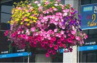 원형화분 적용사례 2