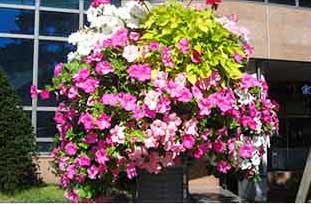 원형화분 적용사례 3