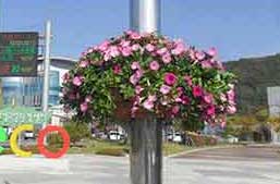 원형화분 적용사례 1