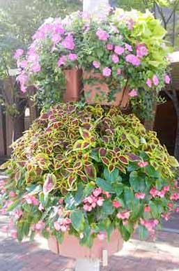 원형화분 적용사례 4