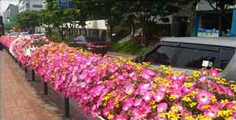 원형화분 적용사례 2