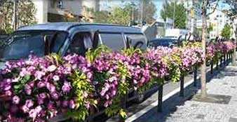 원형화분 적용사례 1