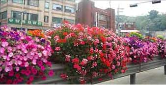 원형화분 적용사례 3